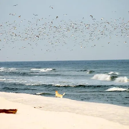 White Pearl 2.06 Appartamento Timmendorfer Strand