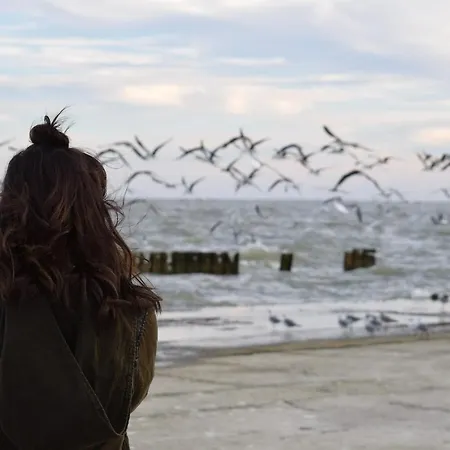 White Pearl 2.06 Timmendorfer Strand